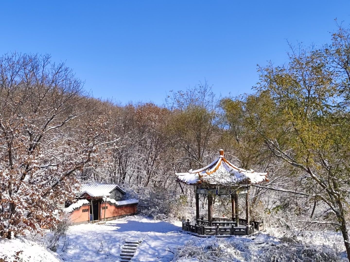 Lishan National Forest Park -Winter-xian Lishan National Forest Park -Winter-xian